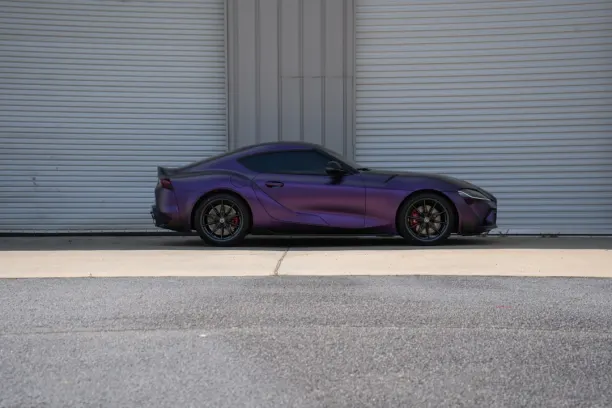 Casino Showreel Bingo App Android/iOS